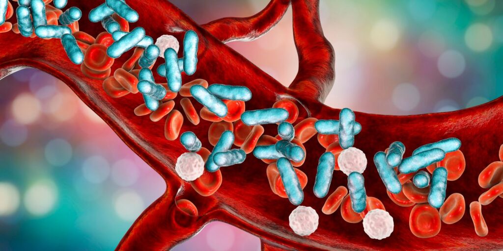 BacteriaIn Blood Sepsis