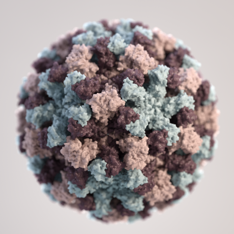 Norovirus Antibody May Make Effective “Stomach Flu” Vaccine