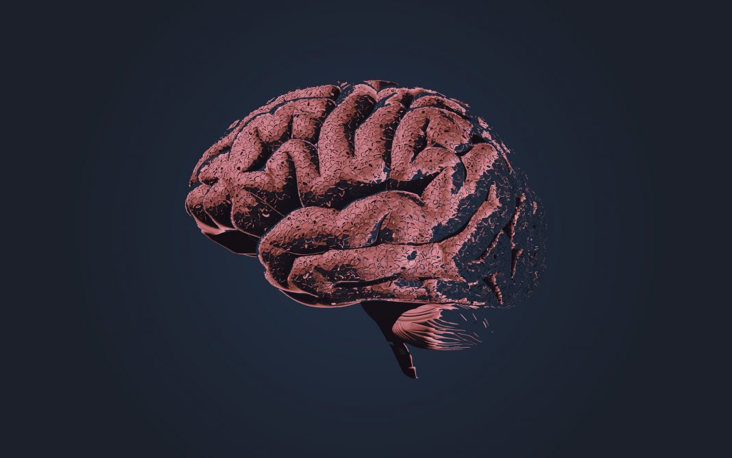 Brain neuro growth
