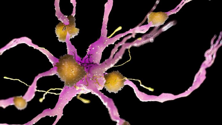 Keeping Microglia from Multiplying Puts the Brakes on Alzheimer’s at Early Stages