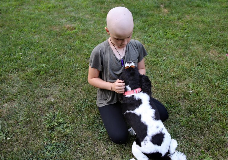 Dogs’ Cancer Genome May Aid Osteosarcoma in Kids