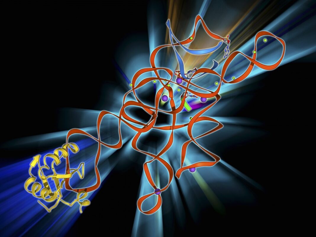 Self-splicing RNA intron, molecular model