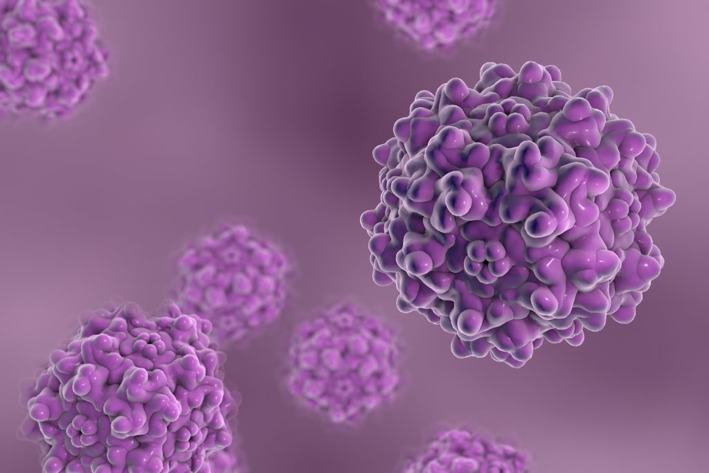 Adeno-associated viruses