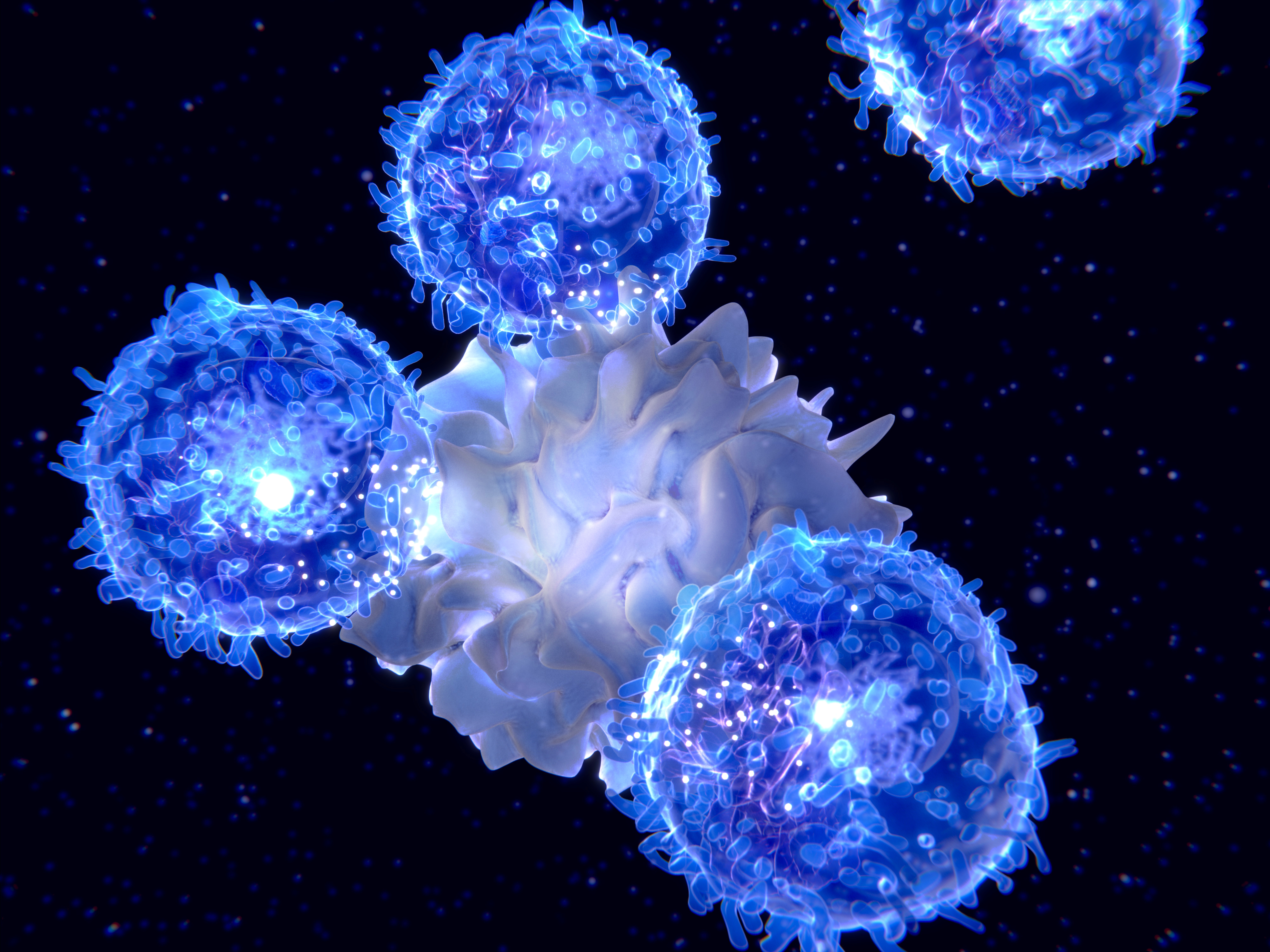 Т клетки в организме. Cd8+ лимфоциты. Cd8+ т-клетки. Т лимфоциты под микроскопом. Иммунология т клетки.