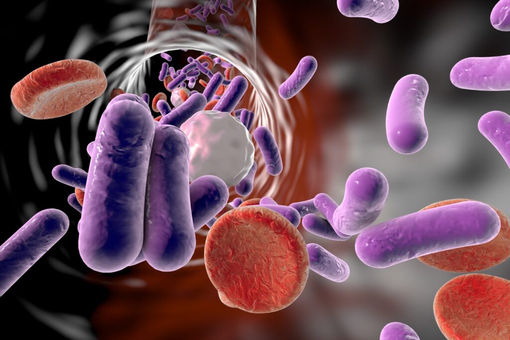 Bacteria in blood