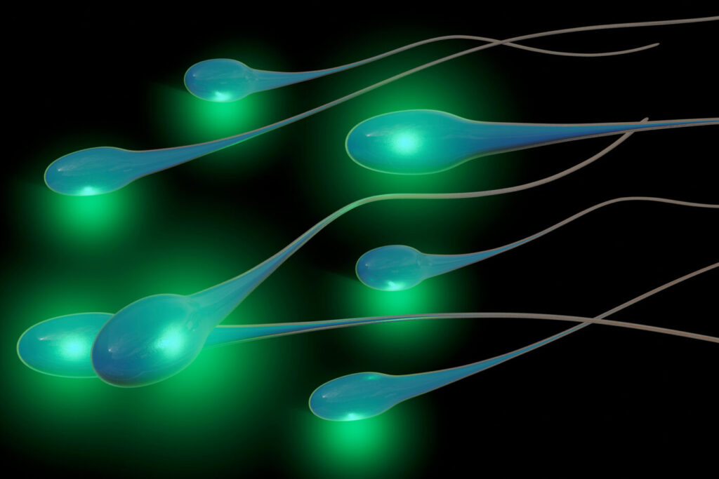 Sperm - 3d rendered illustration