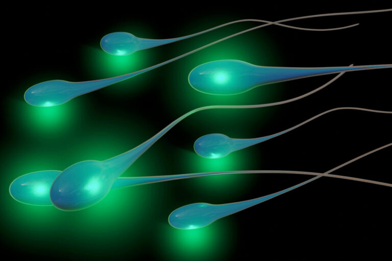 New Hope for Male Infertility Rests on Flagellar Protein