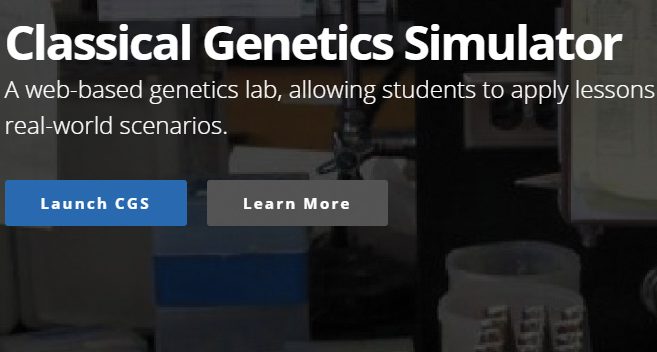 Classical Genetics Simulator screenshot