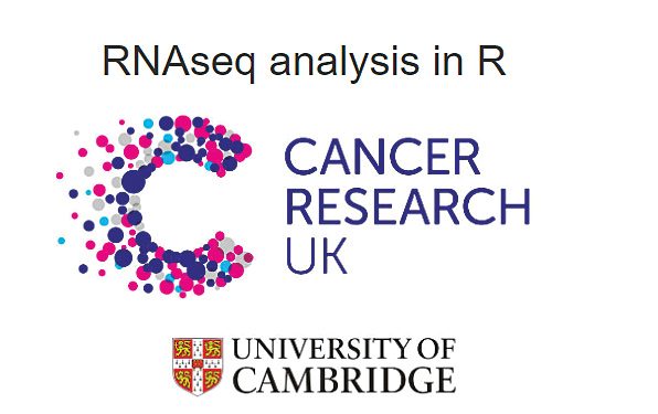 Cancer Research UK screenshot