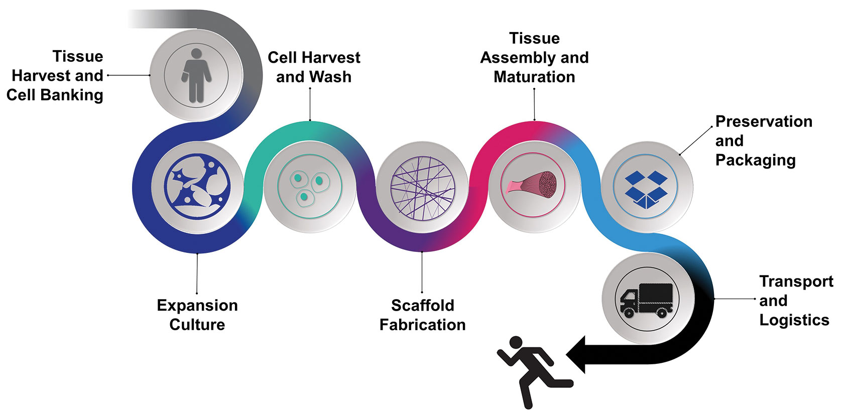 Tissue Foundry concept illustration