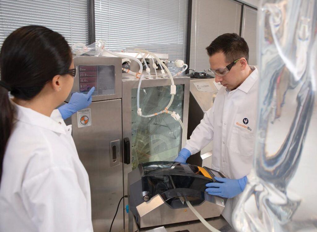 RoosterBio scientists