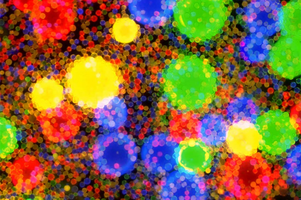 Gut Microbes