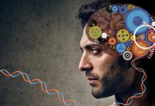 Psychosis Development Linked to Brain’s Filter/Predictor Mechanisms