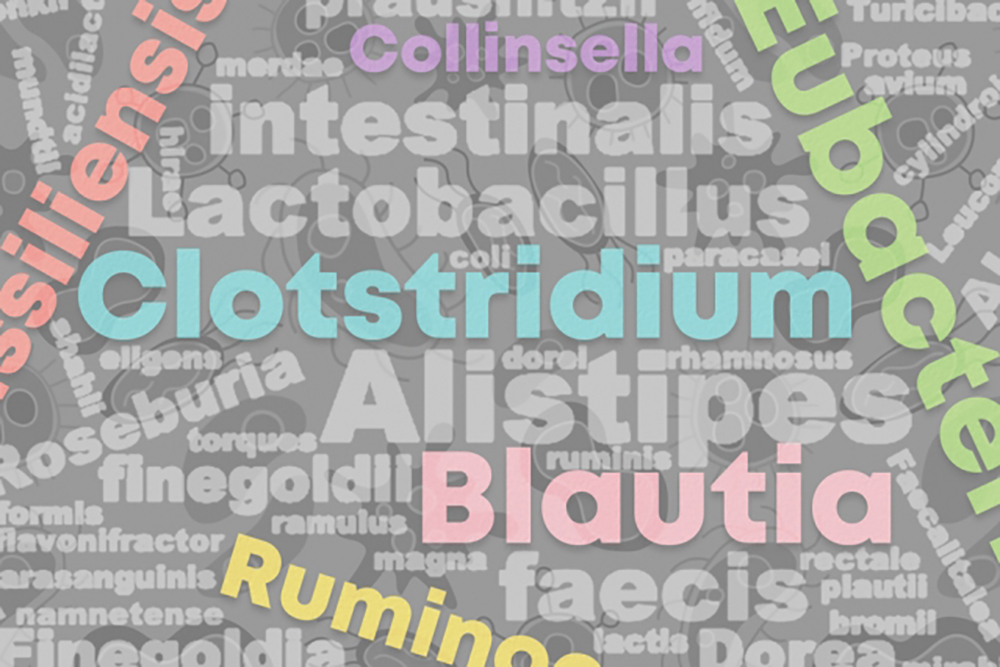 Gut bacteria word collage