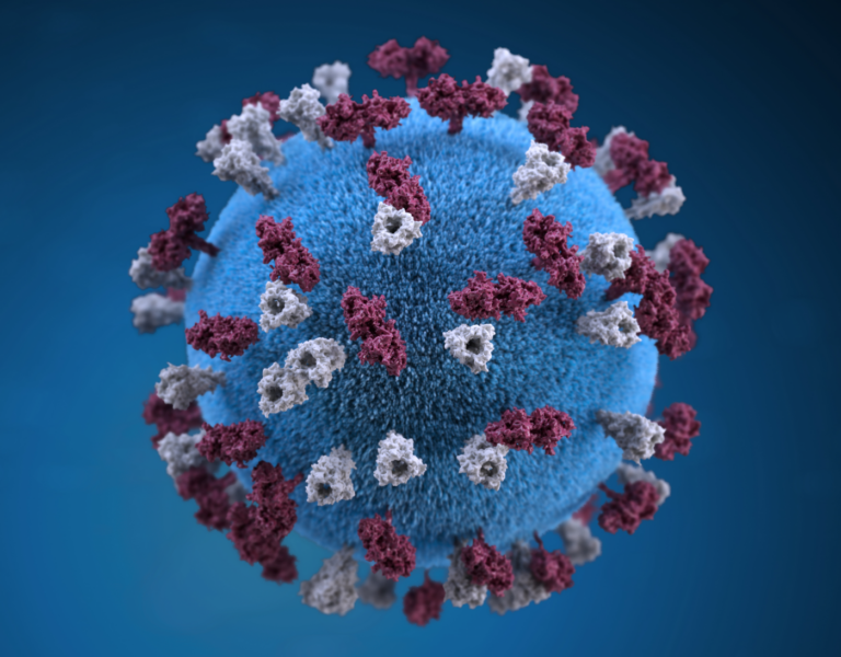 Collective Measles Virus Mutations Linked to Fatal Encephalitis