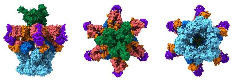 Let’s Throw Sand in the Tuberculosis Pathogen’s Nanogears