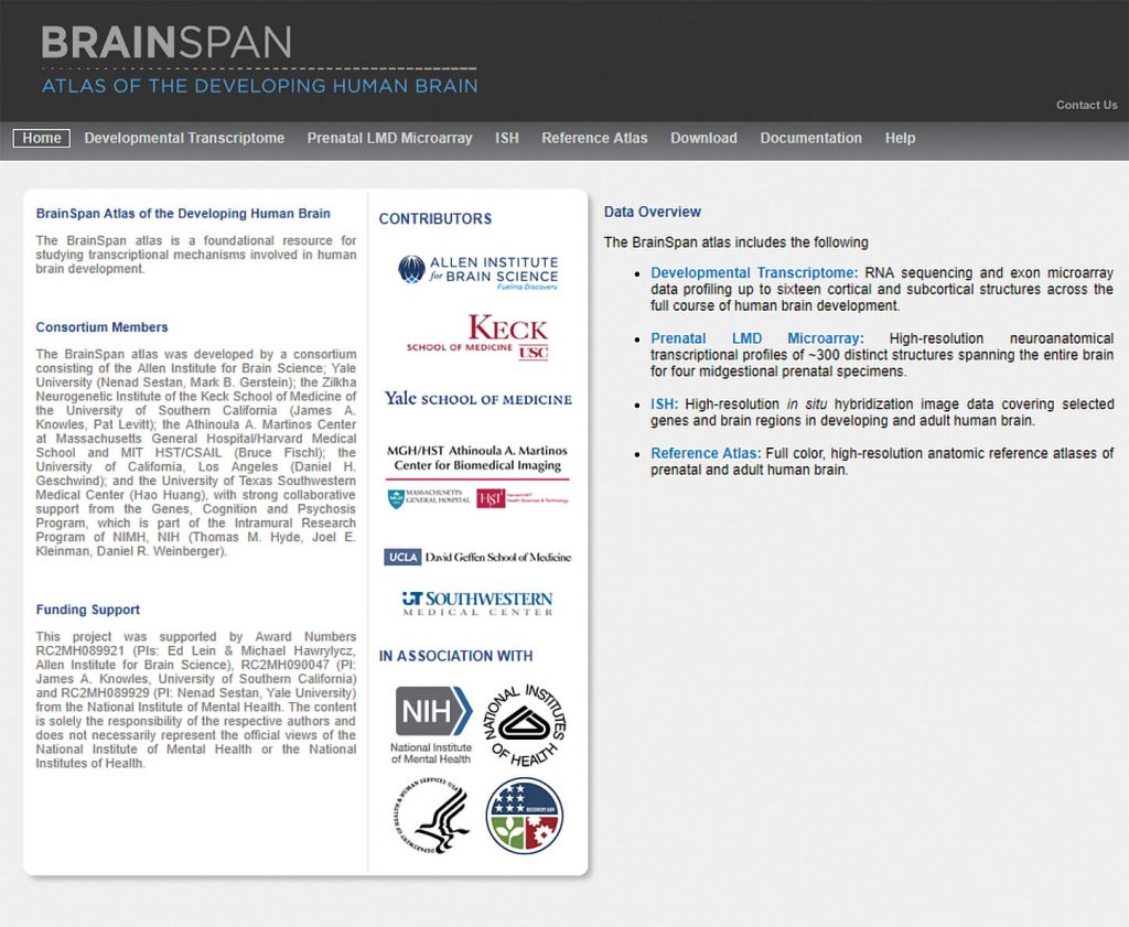 Brainspan screenshot