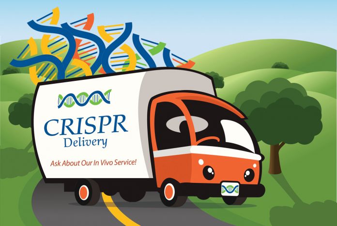 crispr delivery