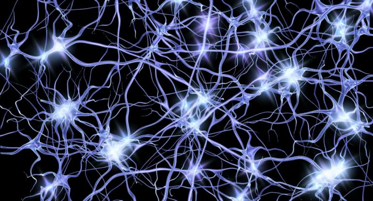 Loss of Calcium in Neurons Linked to Hallmark of Alzheimer’s Disease