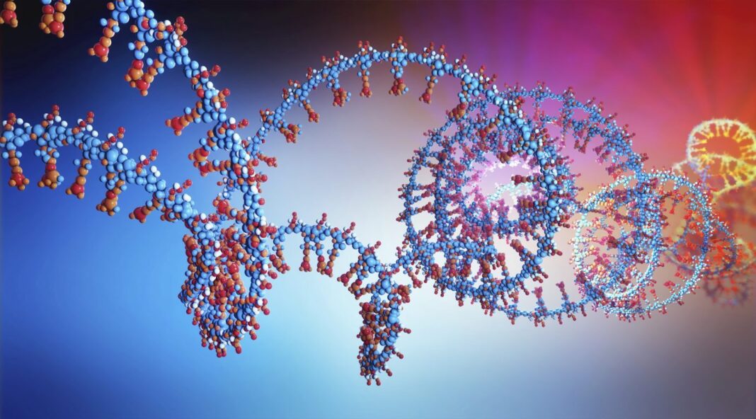 Nucleic acid, illustration