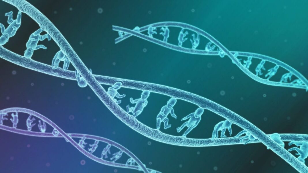 3d illustration of Genetically modified DNA babies concept
