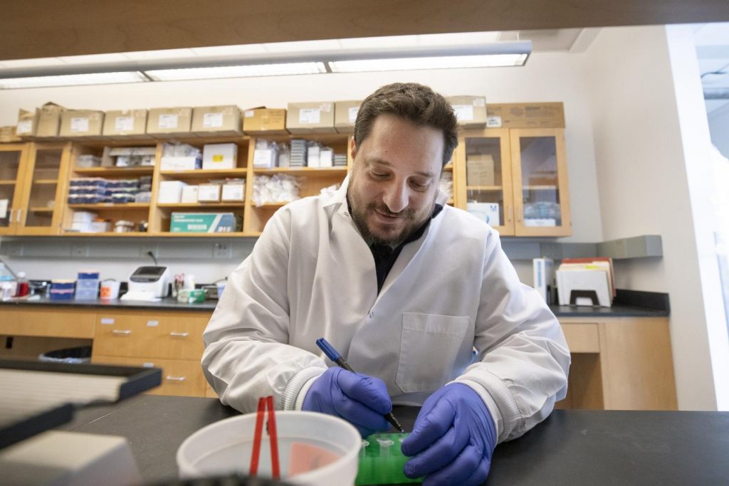 Brad Gelfand, PhD in the UVA lab