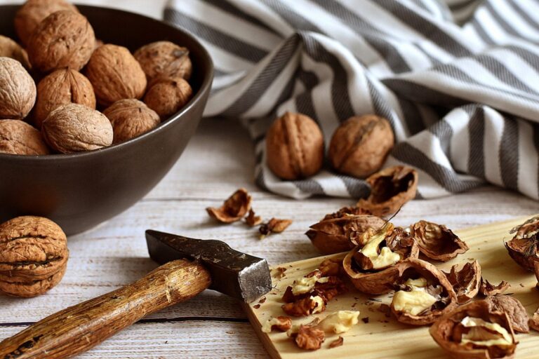 Walnuts Promote Heart Healthy Microbiome