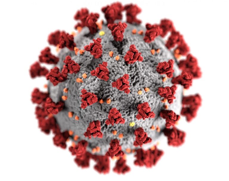 Model Considers Coronavirus and Contagious Disease Spread as Complex Interactions
