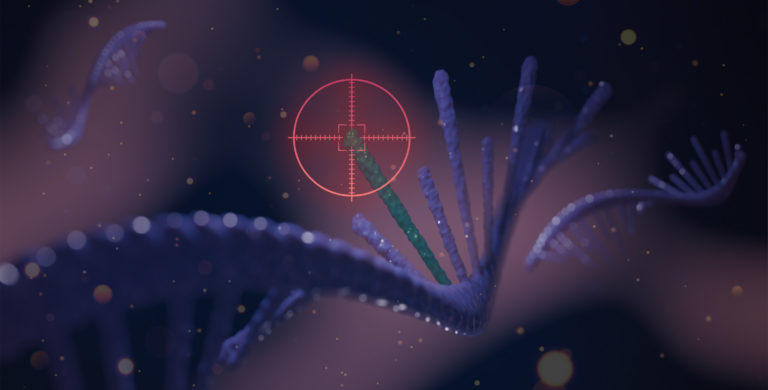 RNA Probes Reveal Point Mutations, May Ease Detection of Disease Genes, Viral Strains