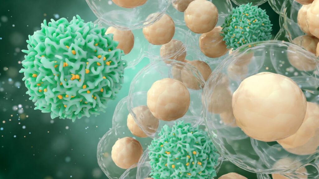 T cells or cancer cells