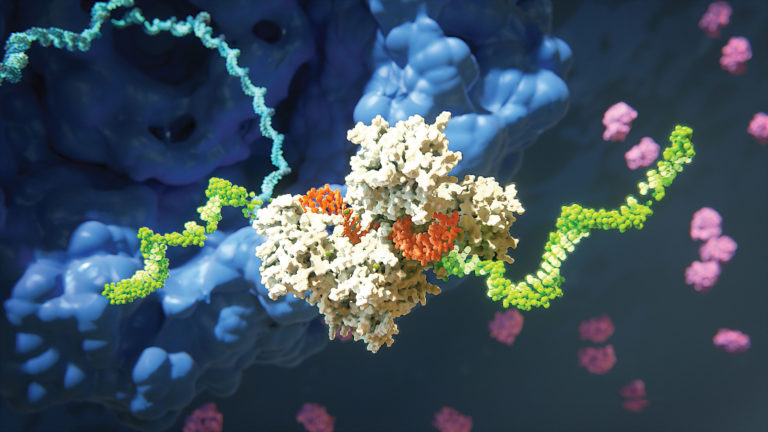 RNA Silencing Finds Its Therapeutic Voice