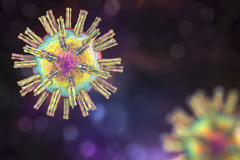 Sneaky Strategy Used by Herpes Virus to Commute within Nervous System Cells Could Unlock Vaccine Strategies