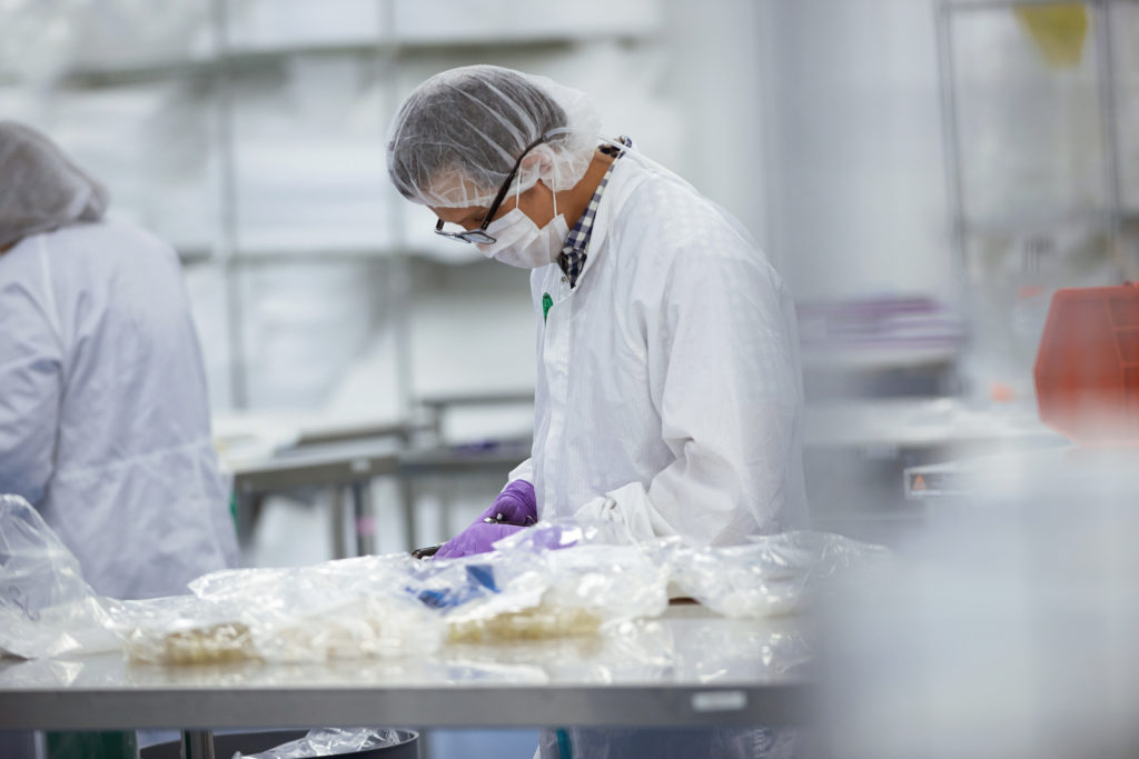 Production in a cleanroom