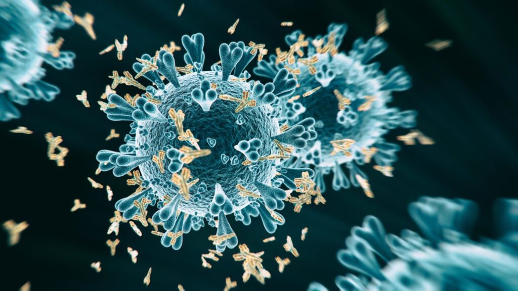 Getty_1213545891_COVID-19Antibody