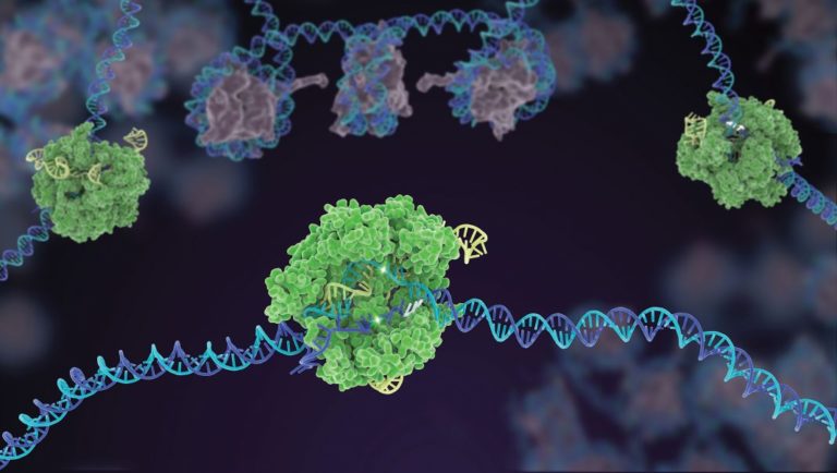 MilliporeSigma Awarded 2 U.S. Patents toward CRISPR-Cas9-Assisted Genome Editing