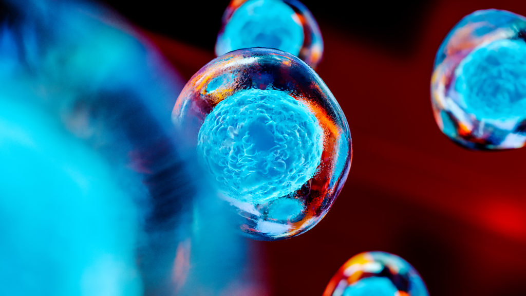 Embryonic stem cells