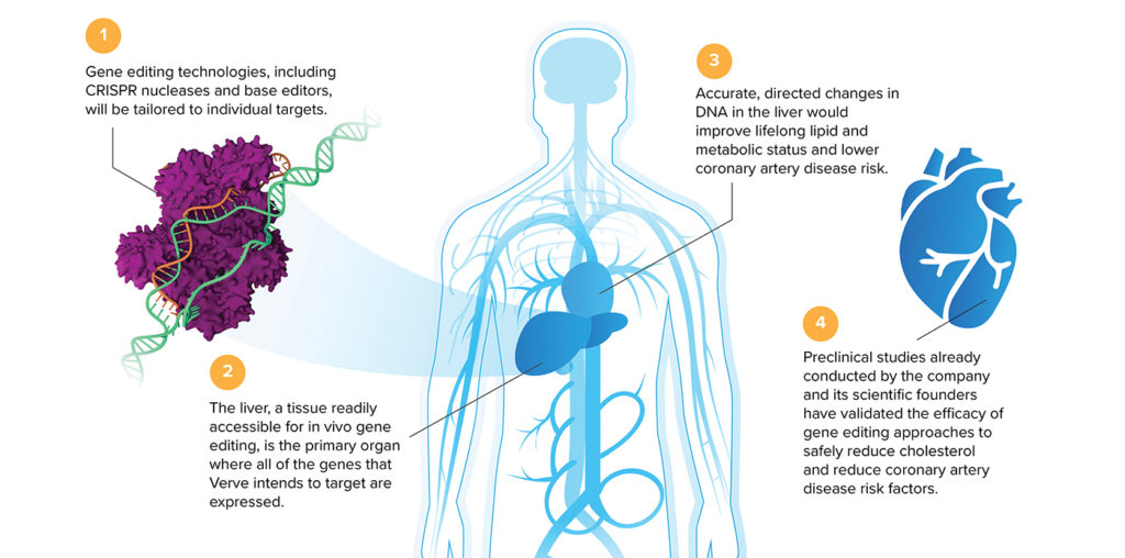 gene editing medicine diagram