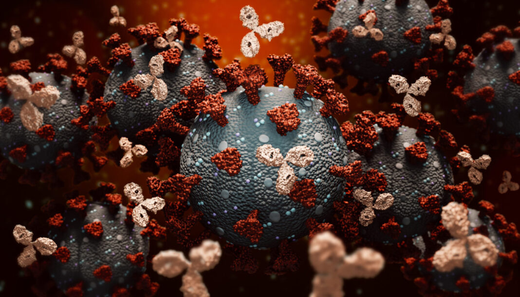 Monoclonal antibodies or immunoglobulin fighting against a group of coronavirus or covid cells 3D rendering illustration. Immunity, immune system, immunotherapy, biomedical, biology, medicine concepts. Accurate scientific render and artist vision.