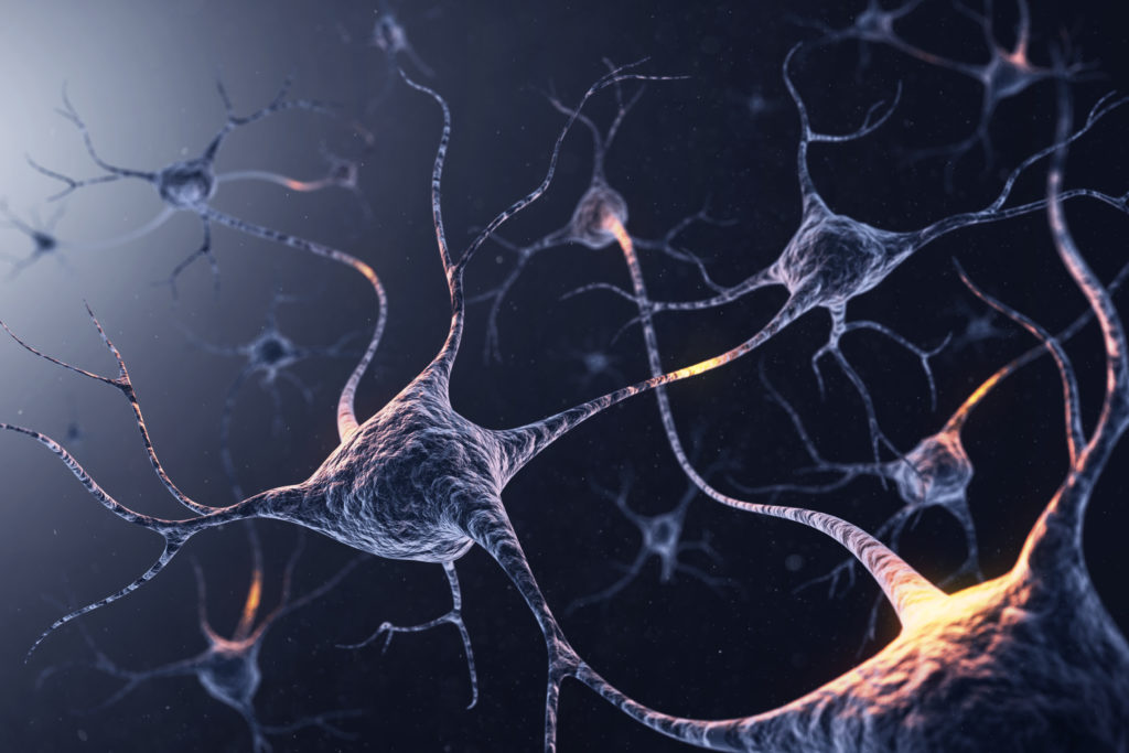 neuron system