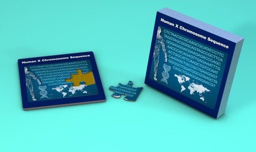 puzzle pieces of DNA sequences
