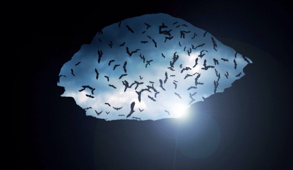 Low Angle View Of Silhouette Bats Flying Over Cave Against Cloudy Sky
