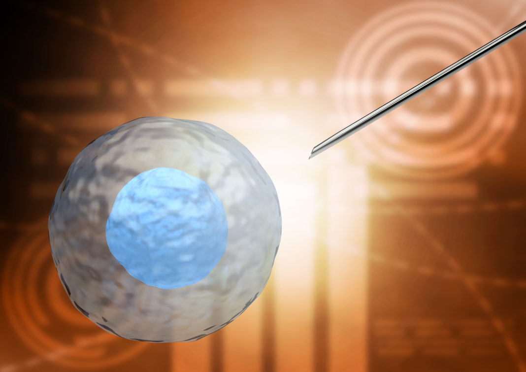 isolated stem cell therapy for the treatment of diseases of the human body. 3D rendering
