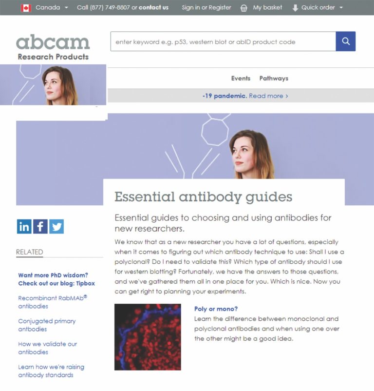 Abcam Essential Antibody Guides