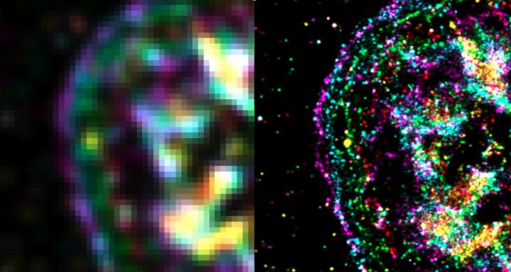 Cellular Force Visible at Molecular Scale Using PAINT Imaging