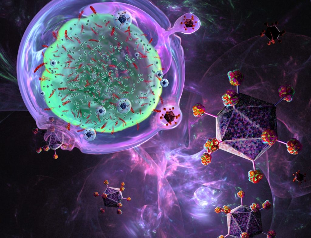 Real-Time Potency Assay for CAR T-Cell Killing of Cancer Cells