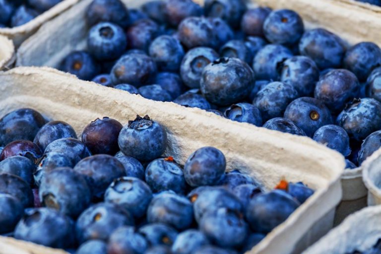 Blueberry Compound May Provide New Inflammatory Bowel Disease Therapy