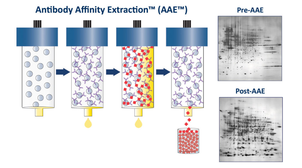 Antibody Affinity Extraction (AAE™)