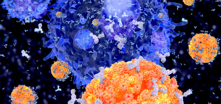 Chronic Viral Infections Disrupt B Cells, Degrade Antibody Responses