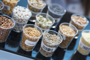 Seeds and cereals in food safety laboratory