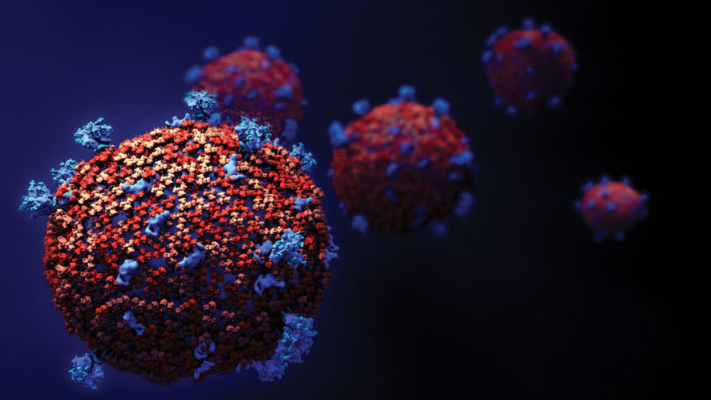 Coronavirus